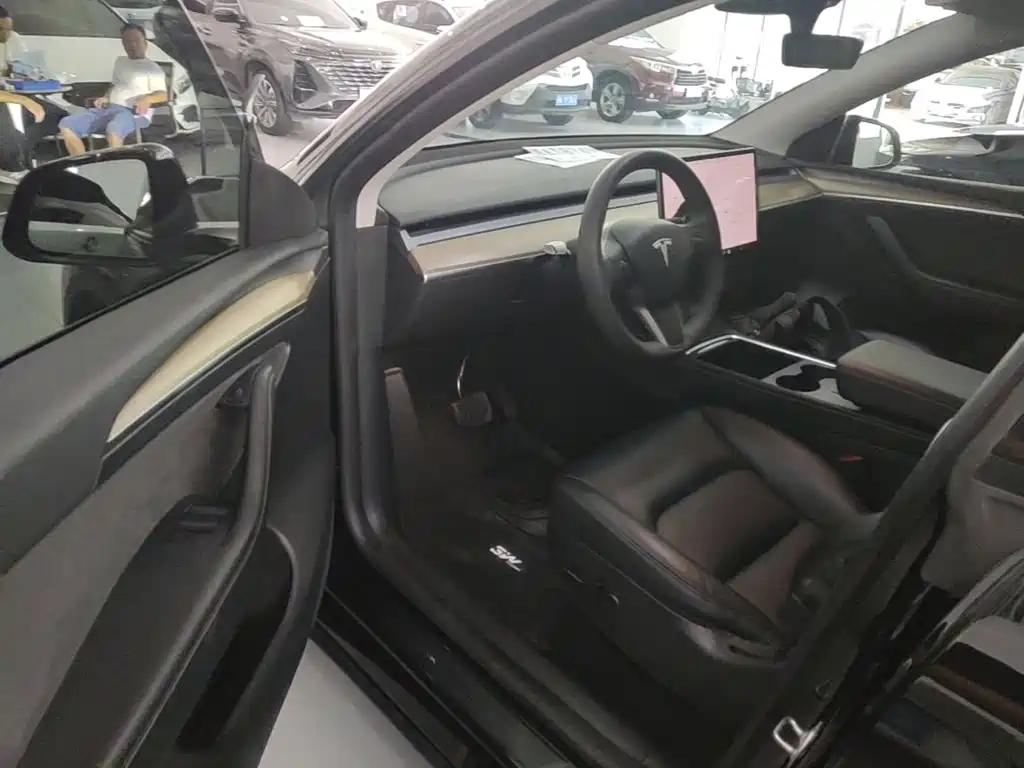 Tesla Model Y — миниатюра 16