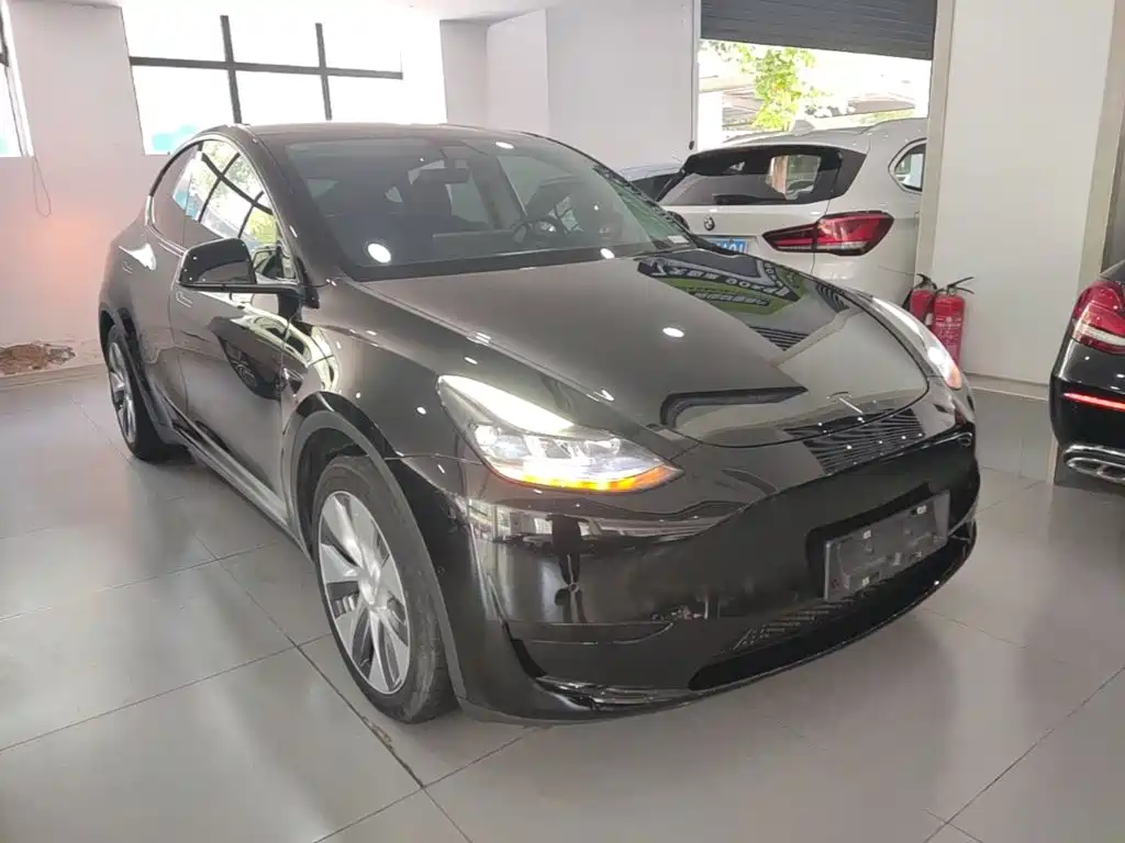 Tesla Model Y — миниатюра 4