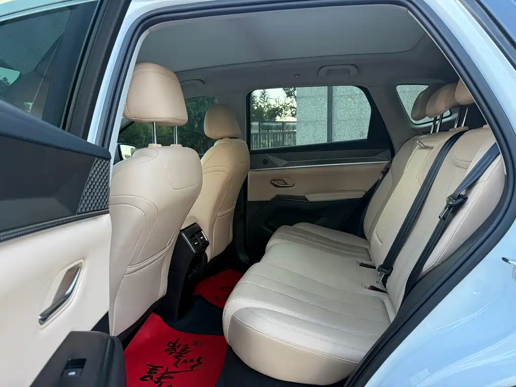 BYD Pro New Energy — миниатюра 5