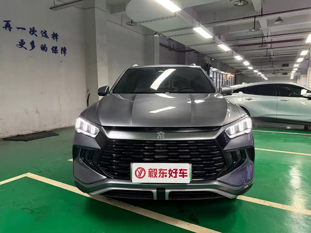 BYD Pro New Energy — миниатюра 2