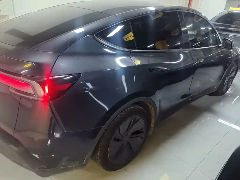 Tesla Model Y — миниатюра 7
