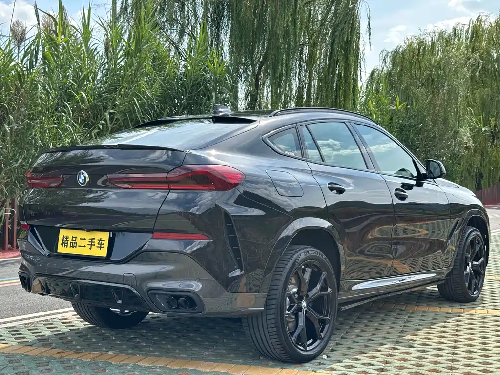 BMW X6 — миниатюра 19