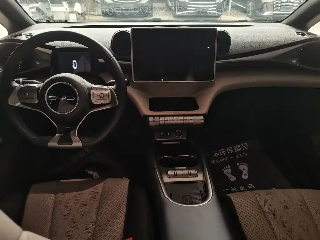 BYD Dolphin 2023 420km Fashion
