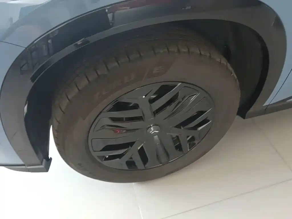 Hongqi Hongqi Tiangong 08 — миниатюра 23