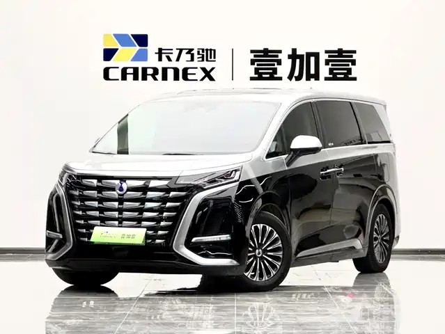 Denza D9