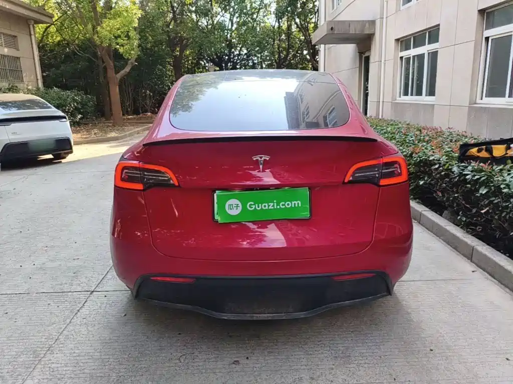 Tesla Model Y — миниатюра 6