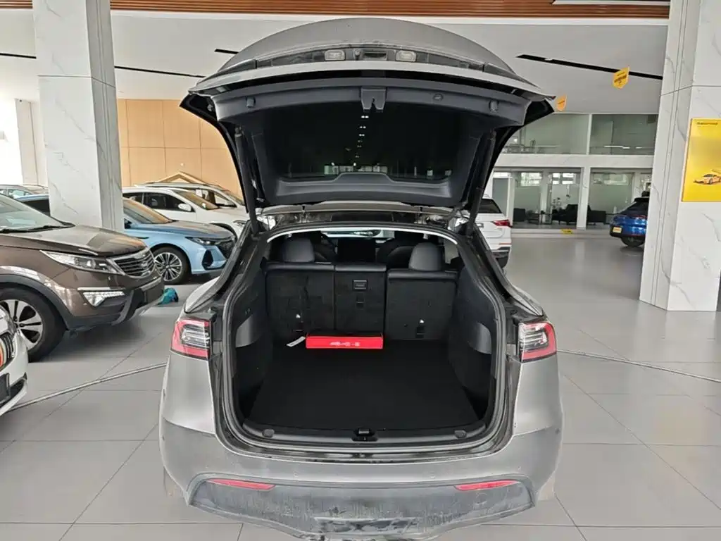 Tesla Model Y — миниатюра 19