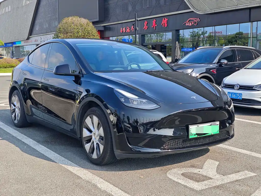 Tesla Model Y — миниатюра 2