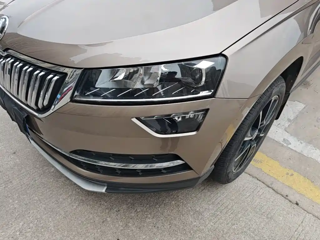 Skoda Karoq — миниатюра 24