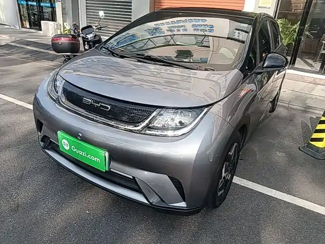 2022 BYD Dolphin