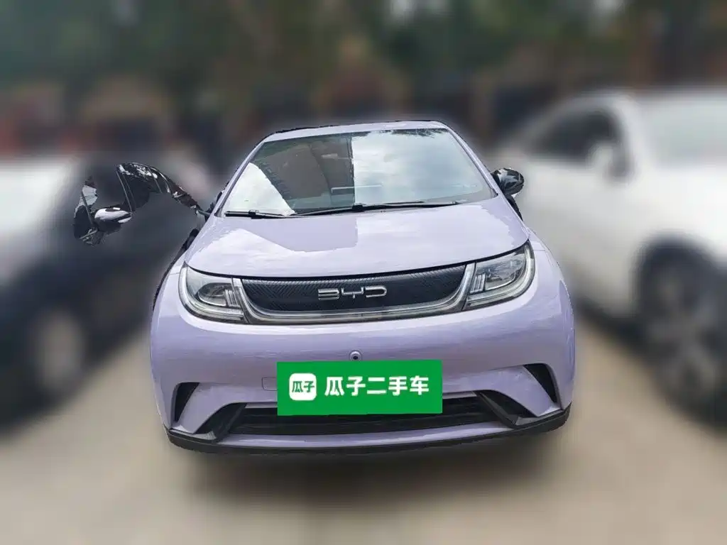 BYD Dolphin — миниатюра 2