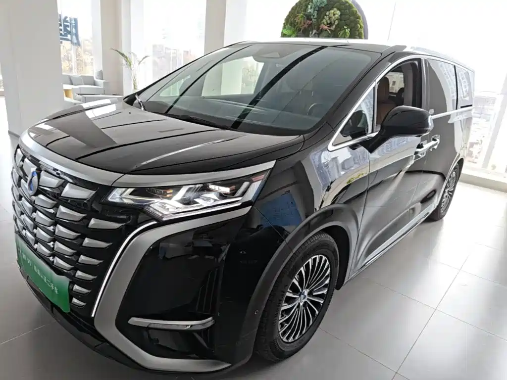 Denza Denza D9 — миниатюра 2
