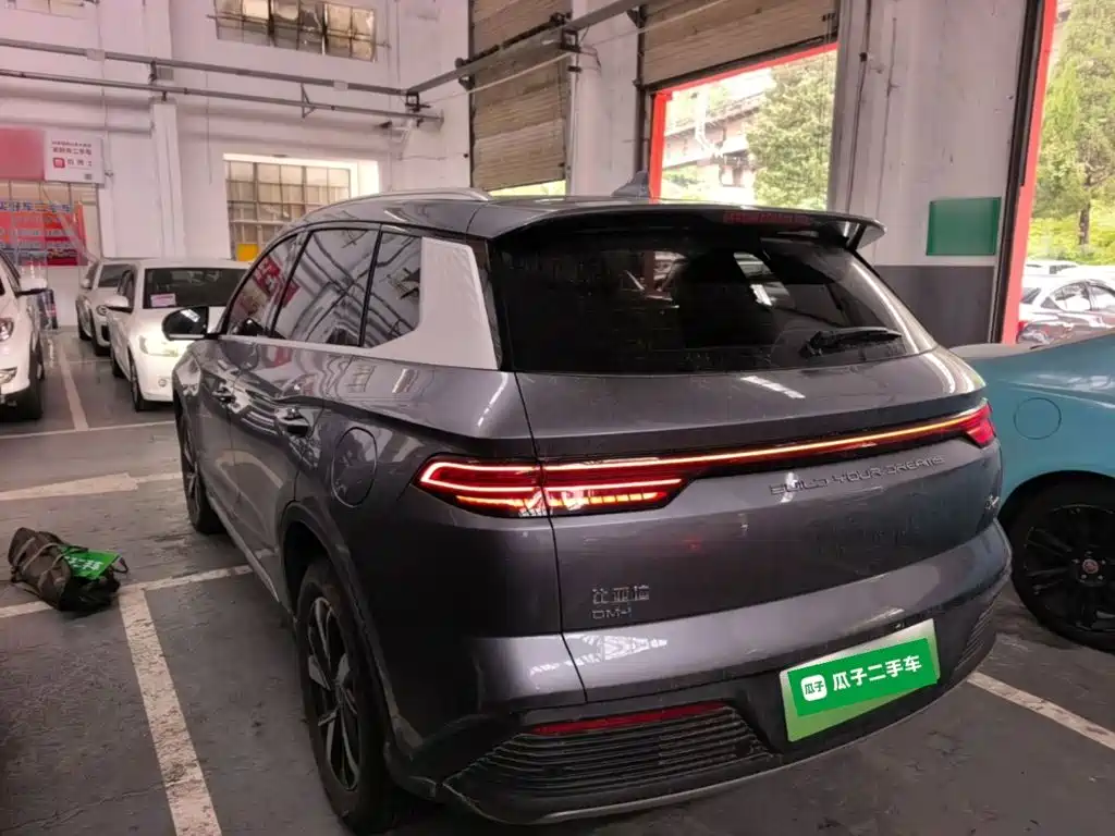 BYD Pro New Energy — миниатюра 5