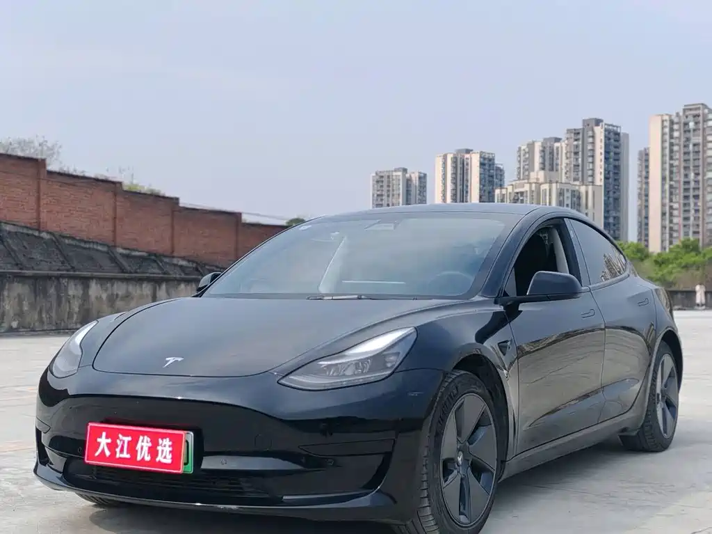 Tesla Model 3 2021