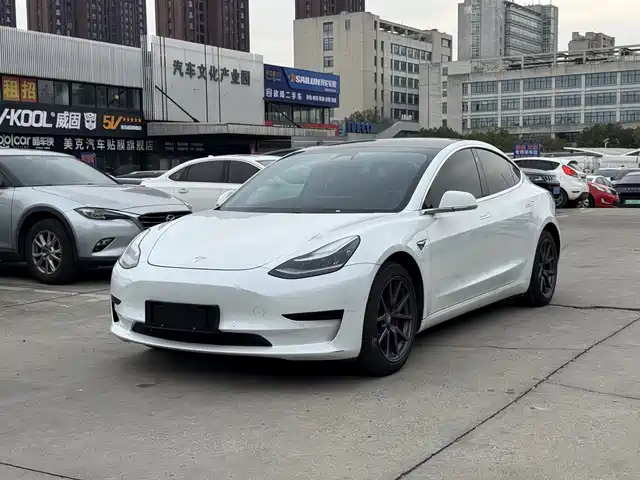 TESLA MODEL 3 2020