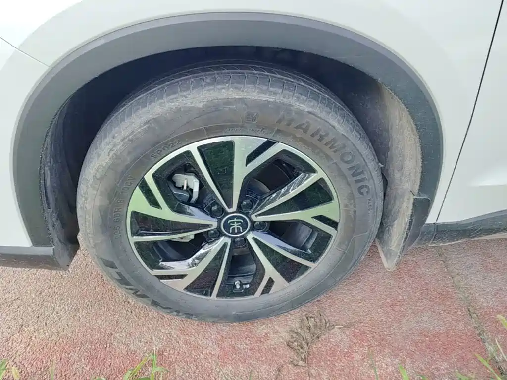 BYD Pro New Energy — миниатюра 23