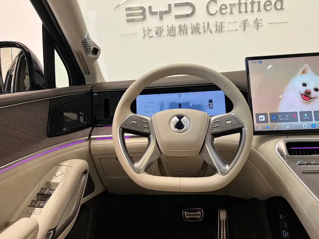 Denza Denza N9 — миниатюра 12