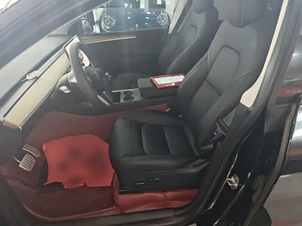Tesla Model Y — миниатюра 15