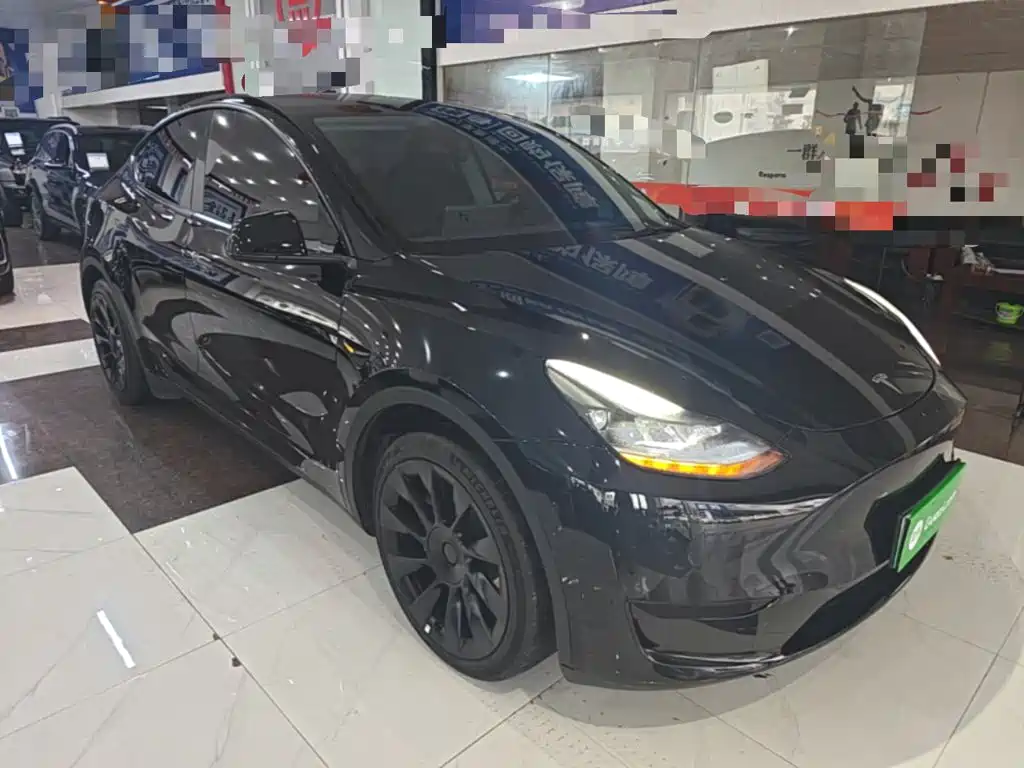 Tesla Model Y — миниатюра 4