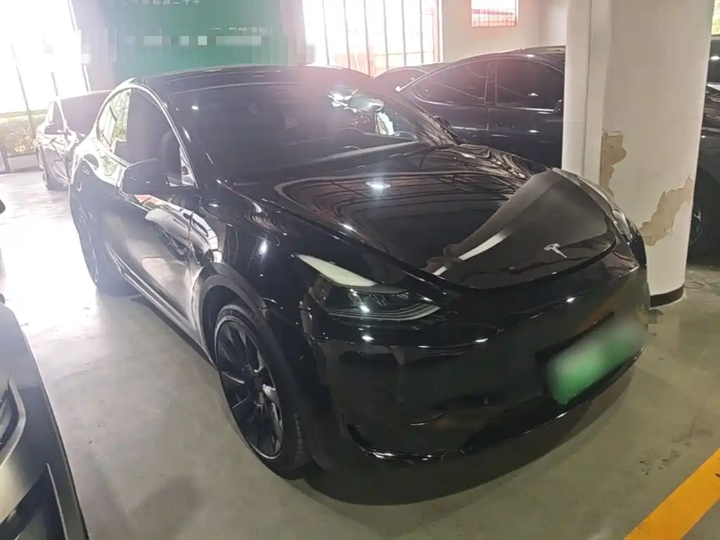 Tesla Model Y — миниатюра 4