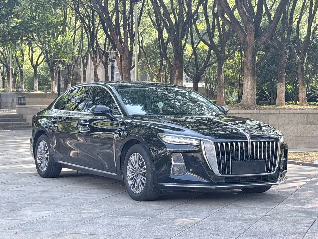 Hongqi Hongqi H5 — миниатюра 3