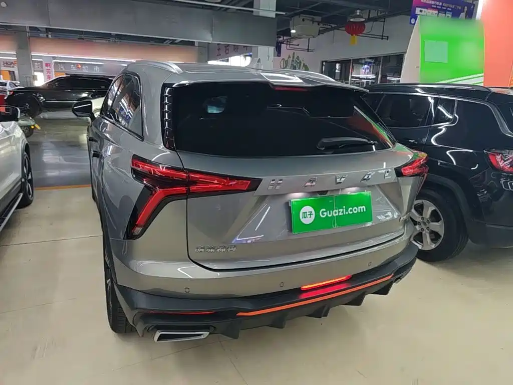 Haval Shenshou — миниатюра 5