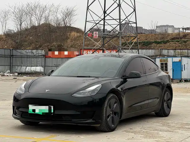 TESLA MODEL 3 2021