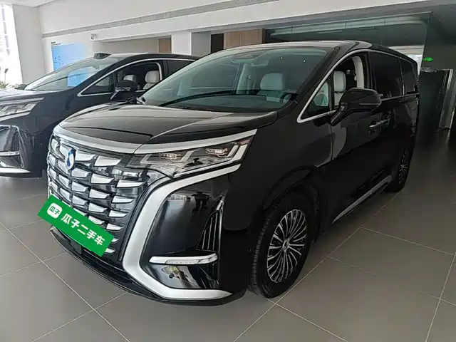 2023 Denza D9