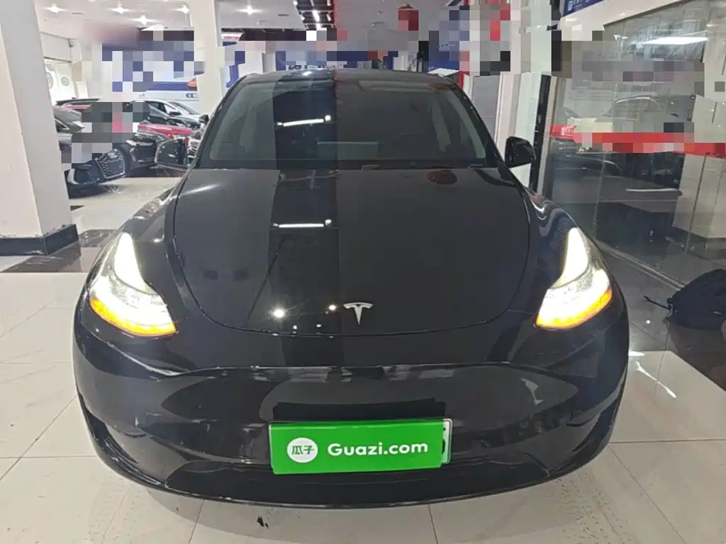 Tesla Model Y — миниатюра 3