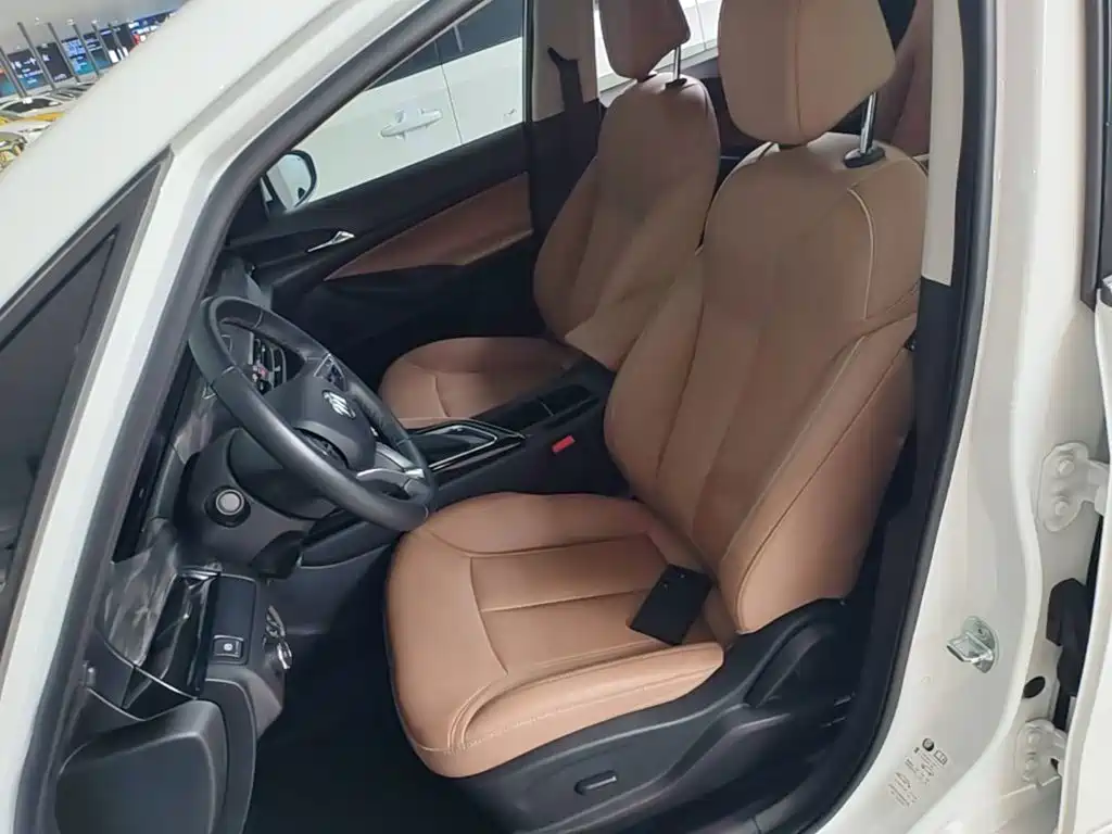 Buick GL6 — миниатюра 15