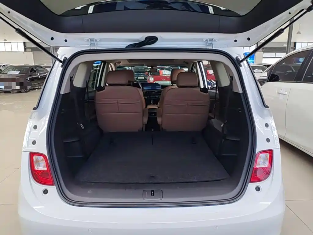 Buick GL6 — миниатюра 19