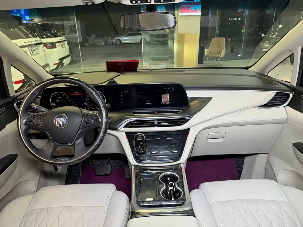 Buick GL8 — миниатюра 19