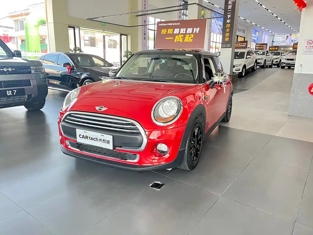 Mini Mini 2016