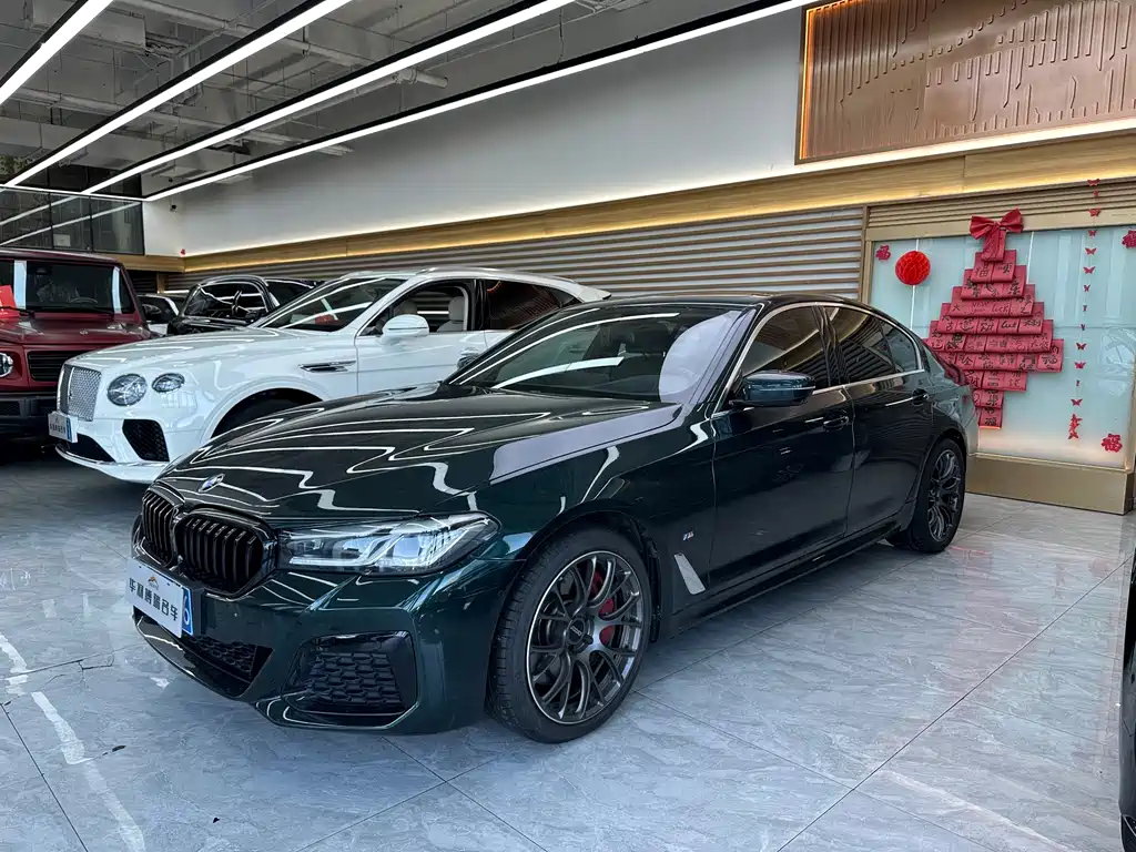 BMW 5 Series (Import)
