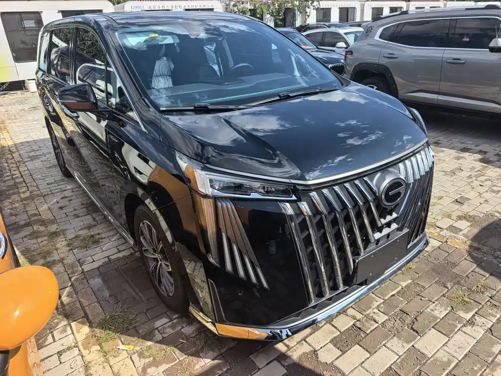 GAC Motor Trumpchi M8 — миниатюра 2
