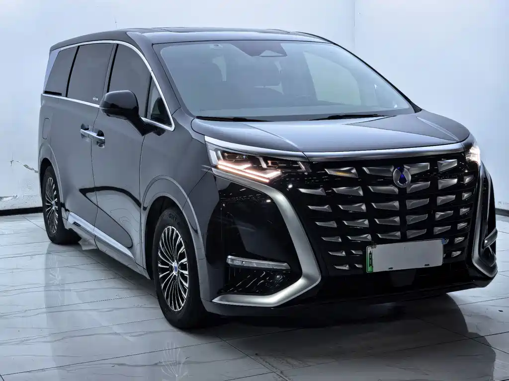Denza Denza D9 — миниатюра 3