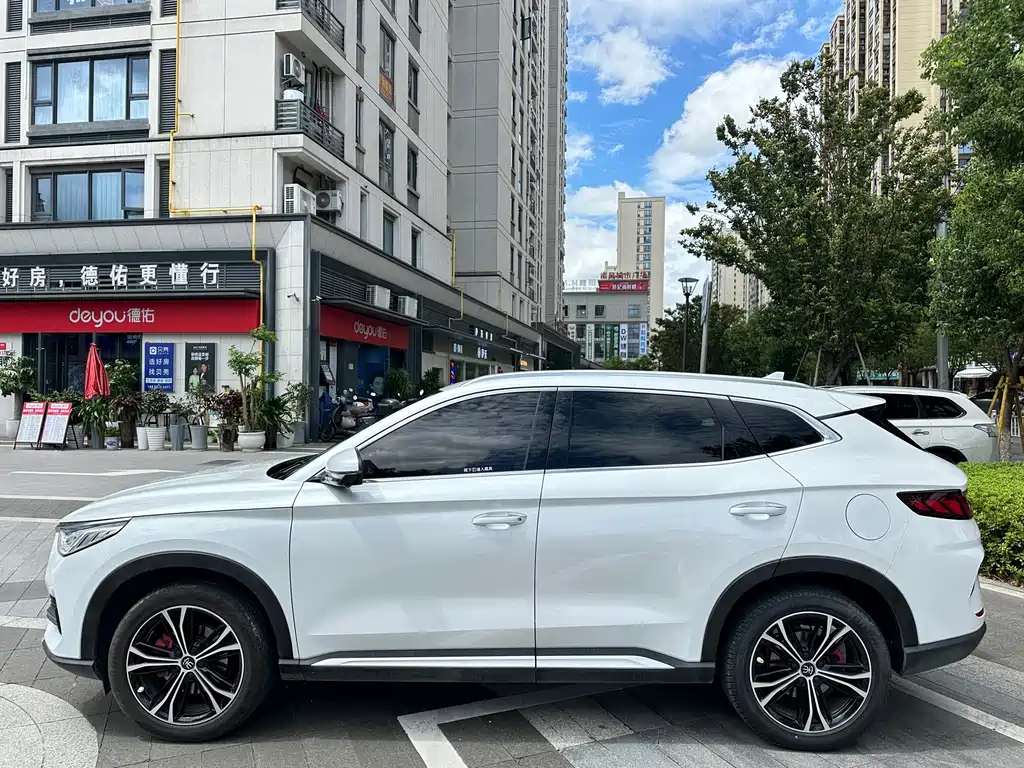BYD PLUS — миниатюра 3