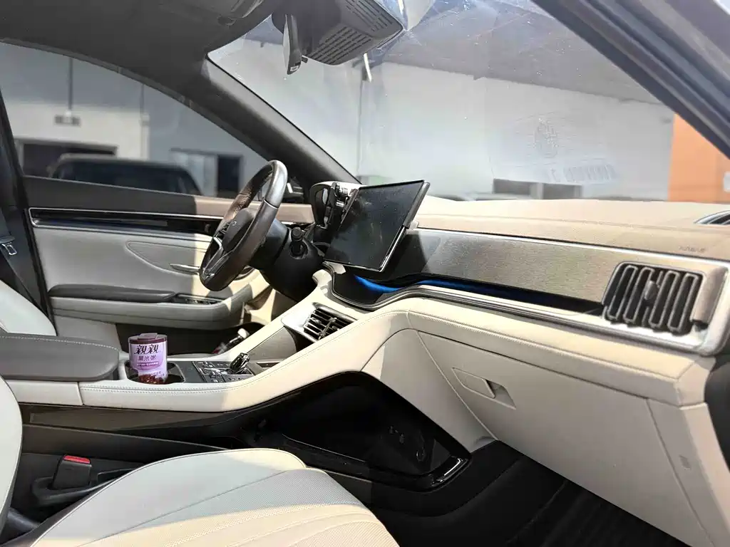 BYD PLUS New Energy — миниатюра 10