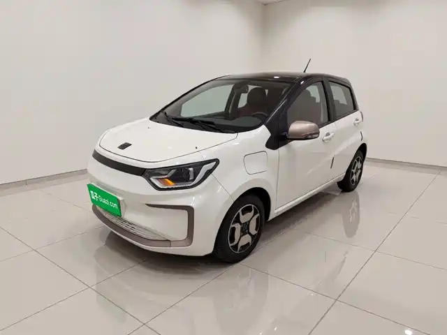 2021 Sehol E10X