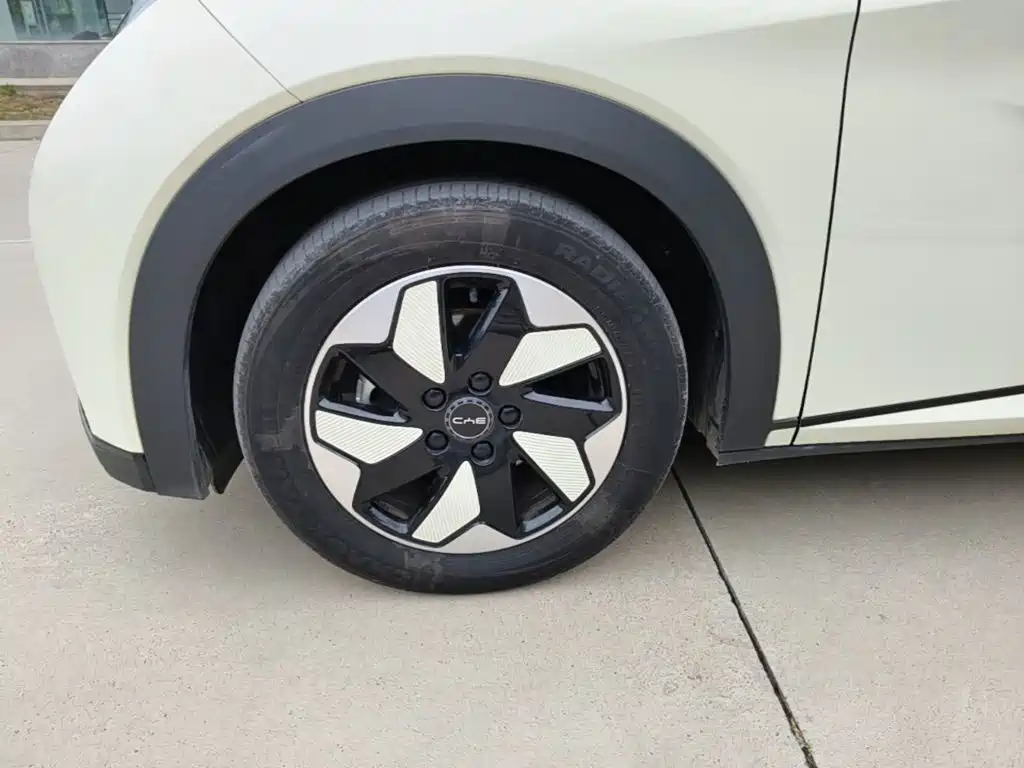 BYD Dolphin — миниатюра 23