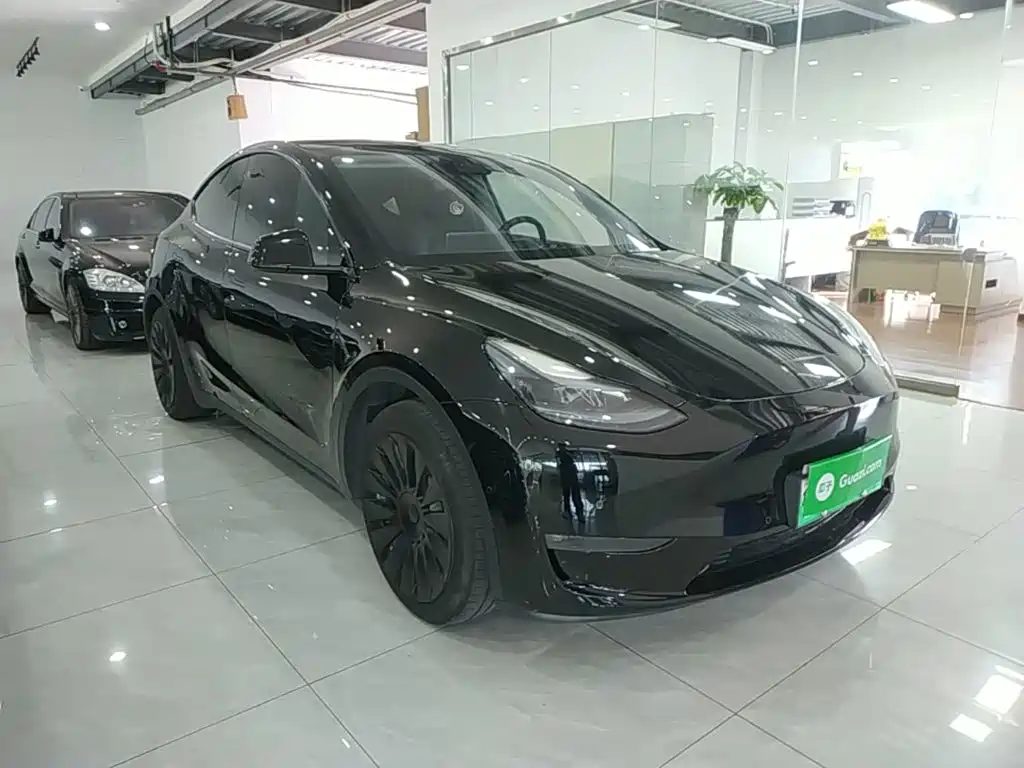 Tesla Model Y — миниатюра 4