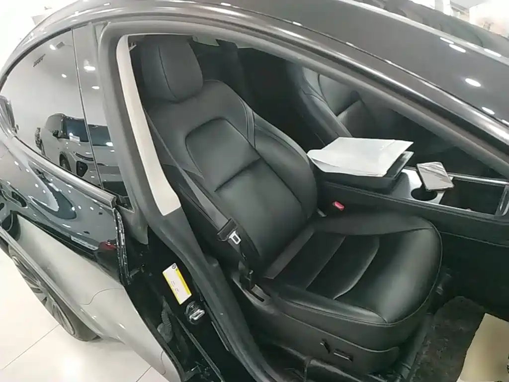 Tesla Model Y — миниатюра 25