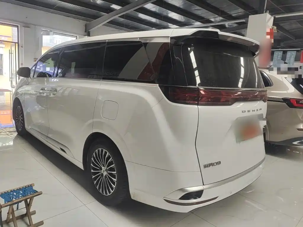 Denza Denza D9 — миниатюра 5