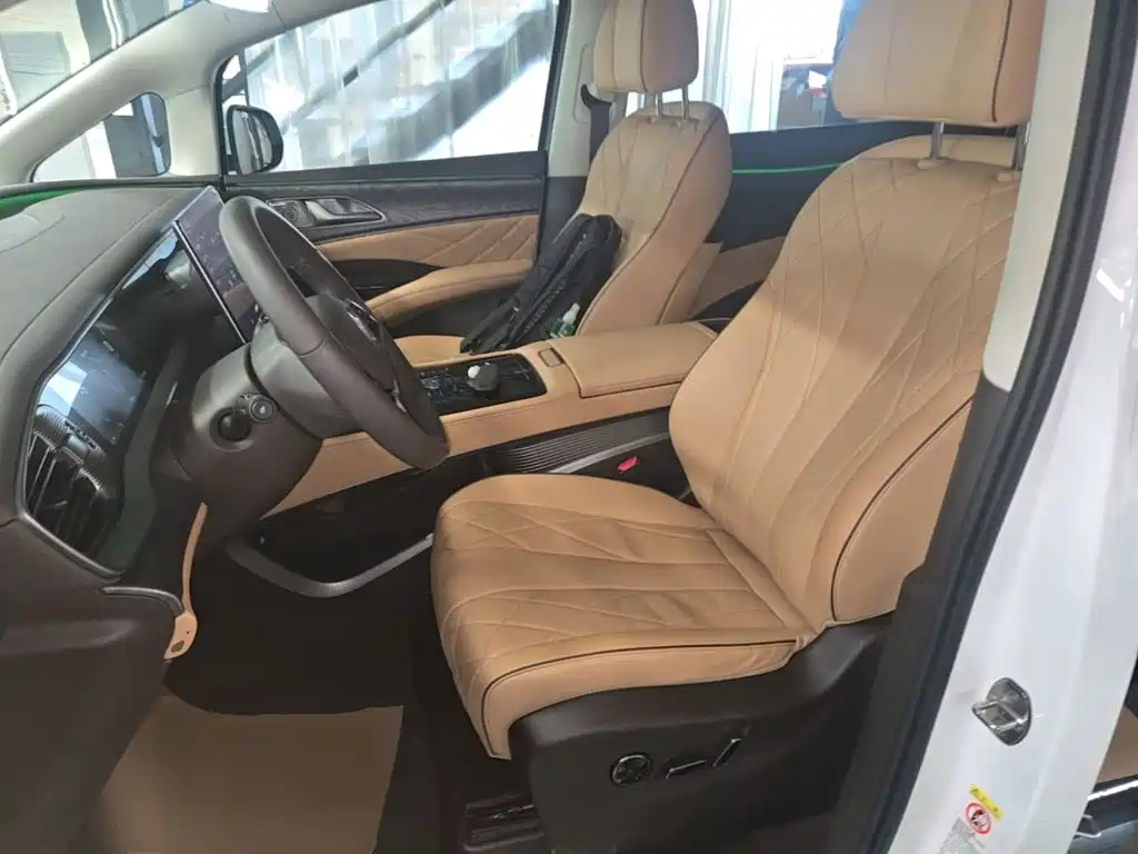 Denza Denza D9 — миниатюра 14