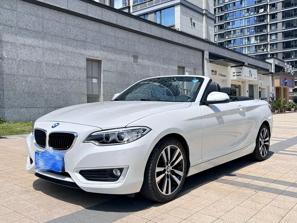 BMW 2 Series (Import) 2016