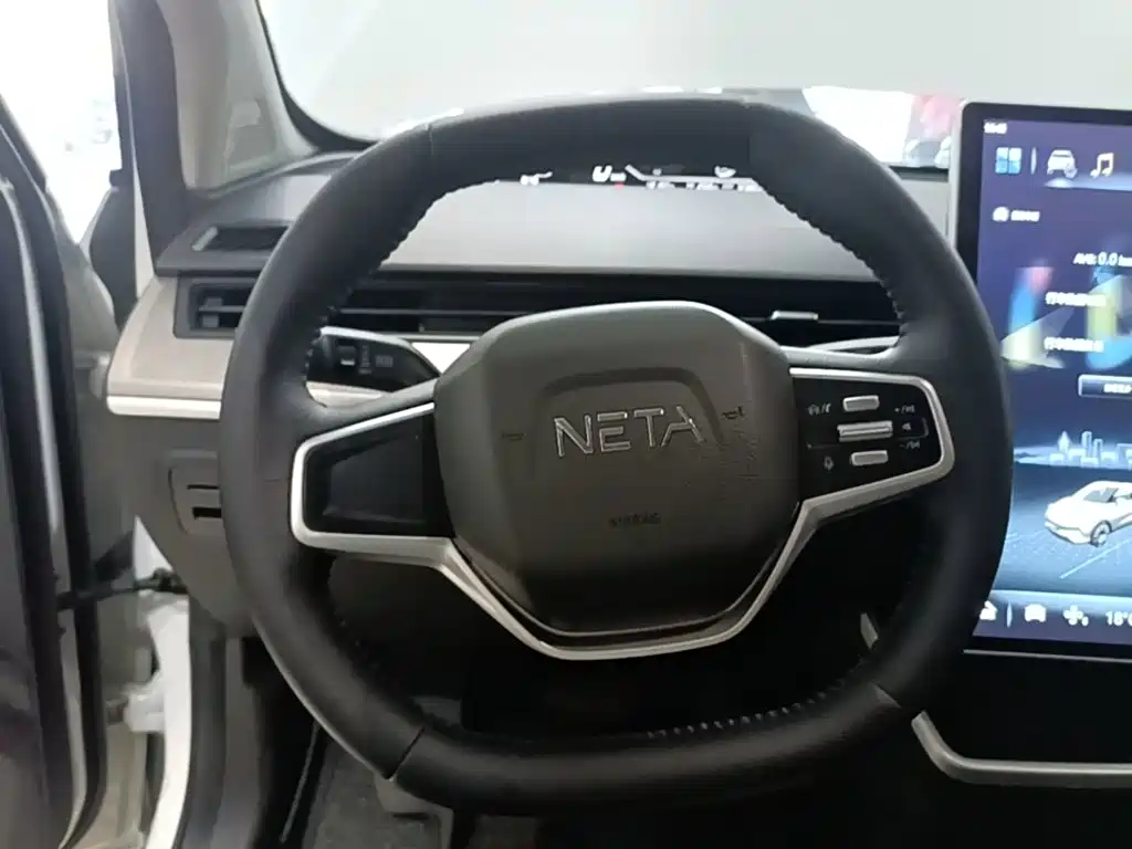 Neta Neta V — миниатюра 11