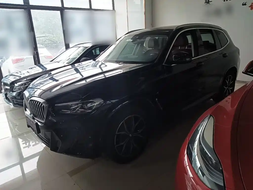 BMW X3 — миниатюра 2