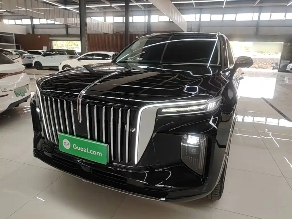 Hongqi Hongqi E-HS9 — миниатюра 2