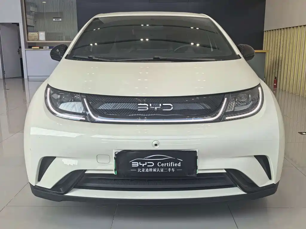 BYD Dolphin — миниатюра 2