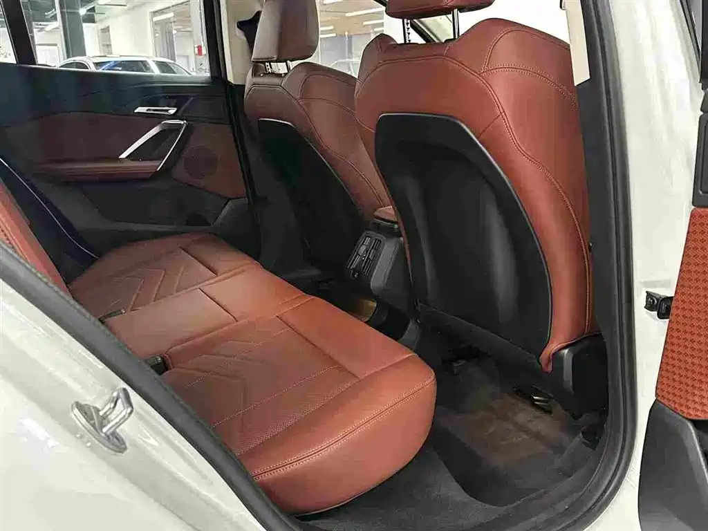 BMW X2 (Import) — миниатюра 13